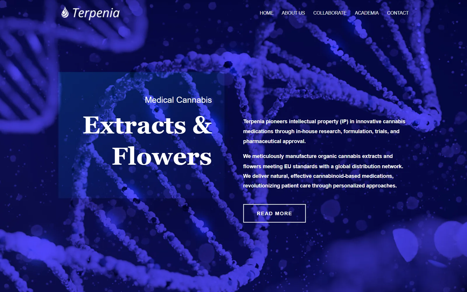 Terpenia — Visual 1
